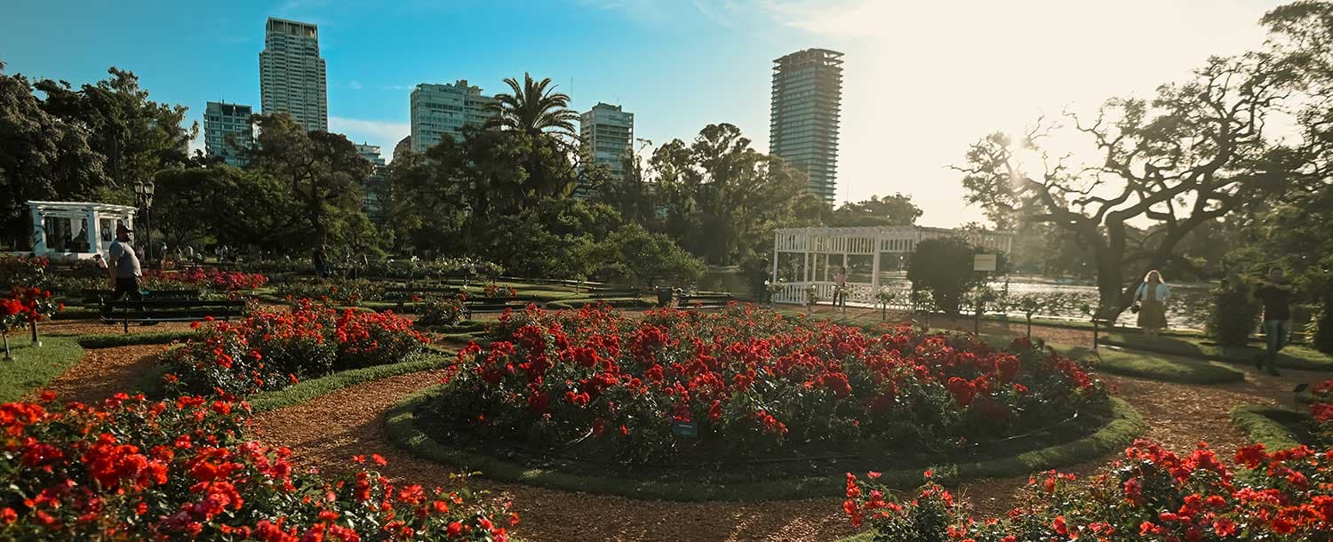 Red rose beds, paths and the lake at El Rosedal in Palermo, Buenos Aires.